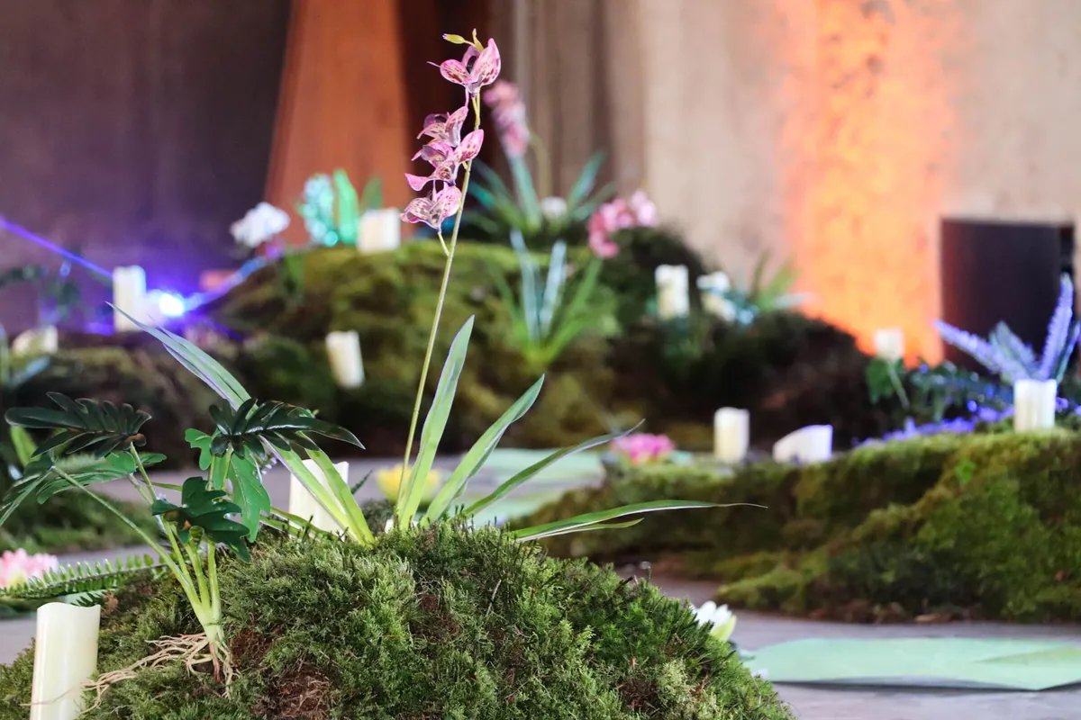 Nahaufnahme: Orchideen und Kerzen zwischen Moos und Farnen